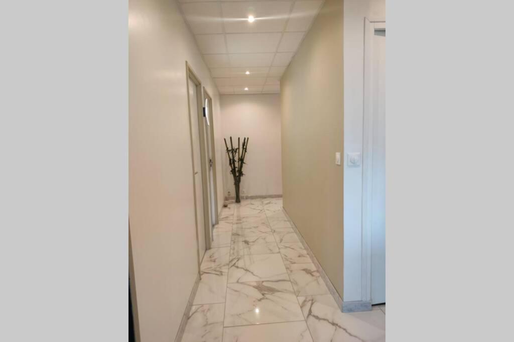 Logement entier+ jardin privé et parking 2places Ruan Exterior foto